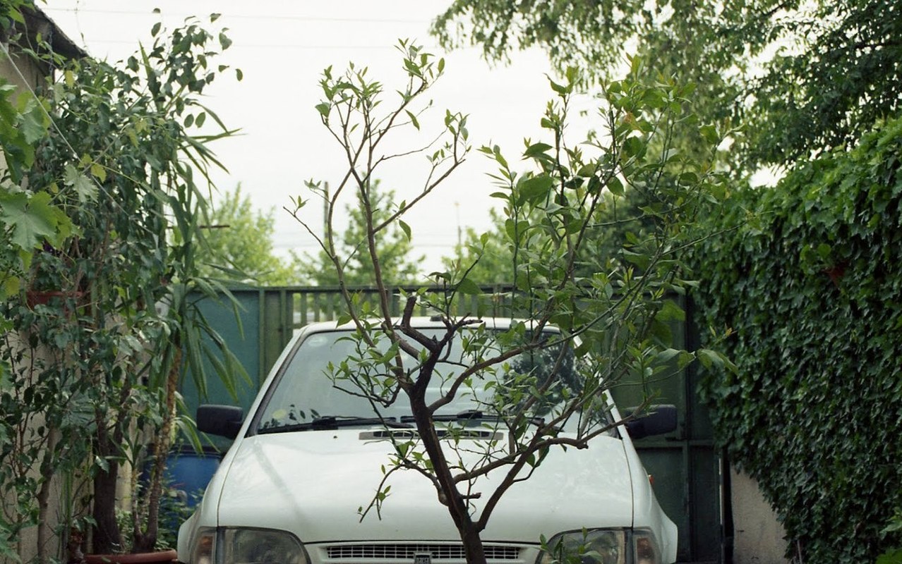 Home is where the heart is