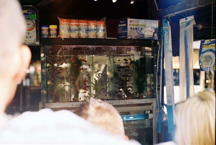 Garvey, your friends await!