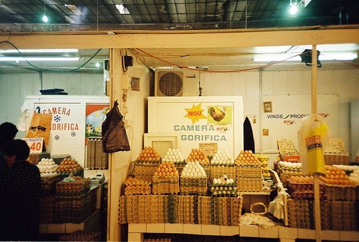 Cameră orifică şi cameră gorifică