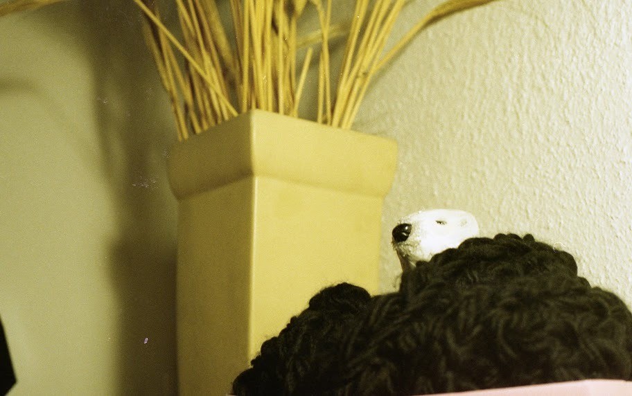 The right to bear arms, Bucharest 2011