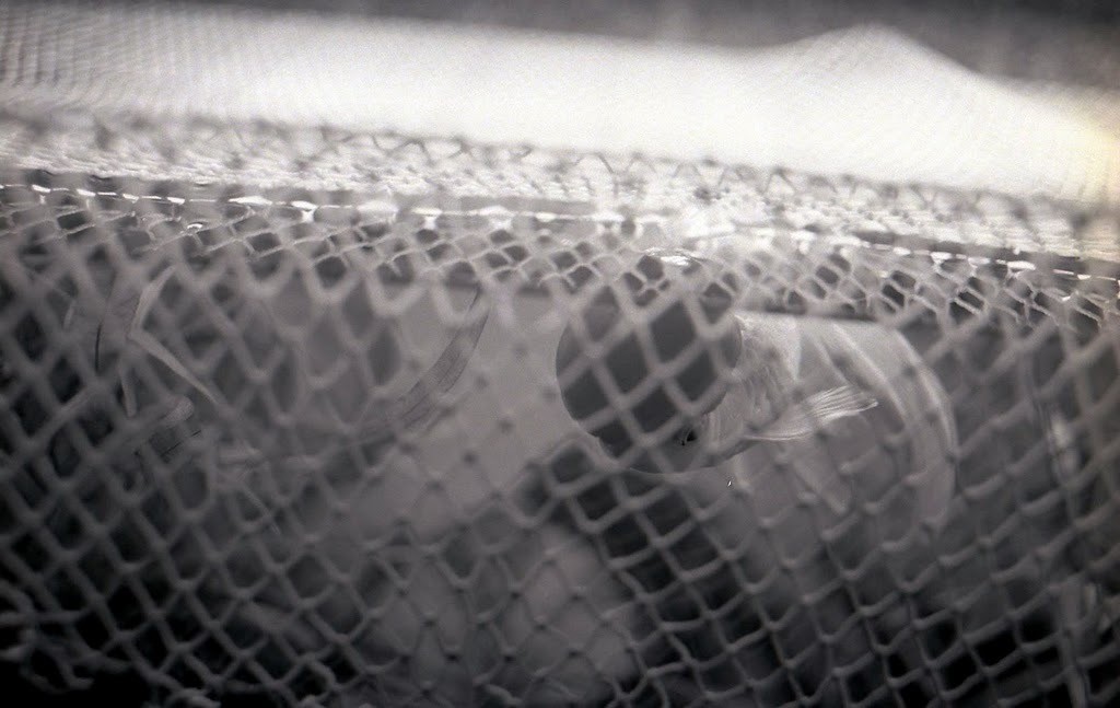 "Un simple histoire"