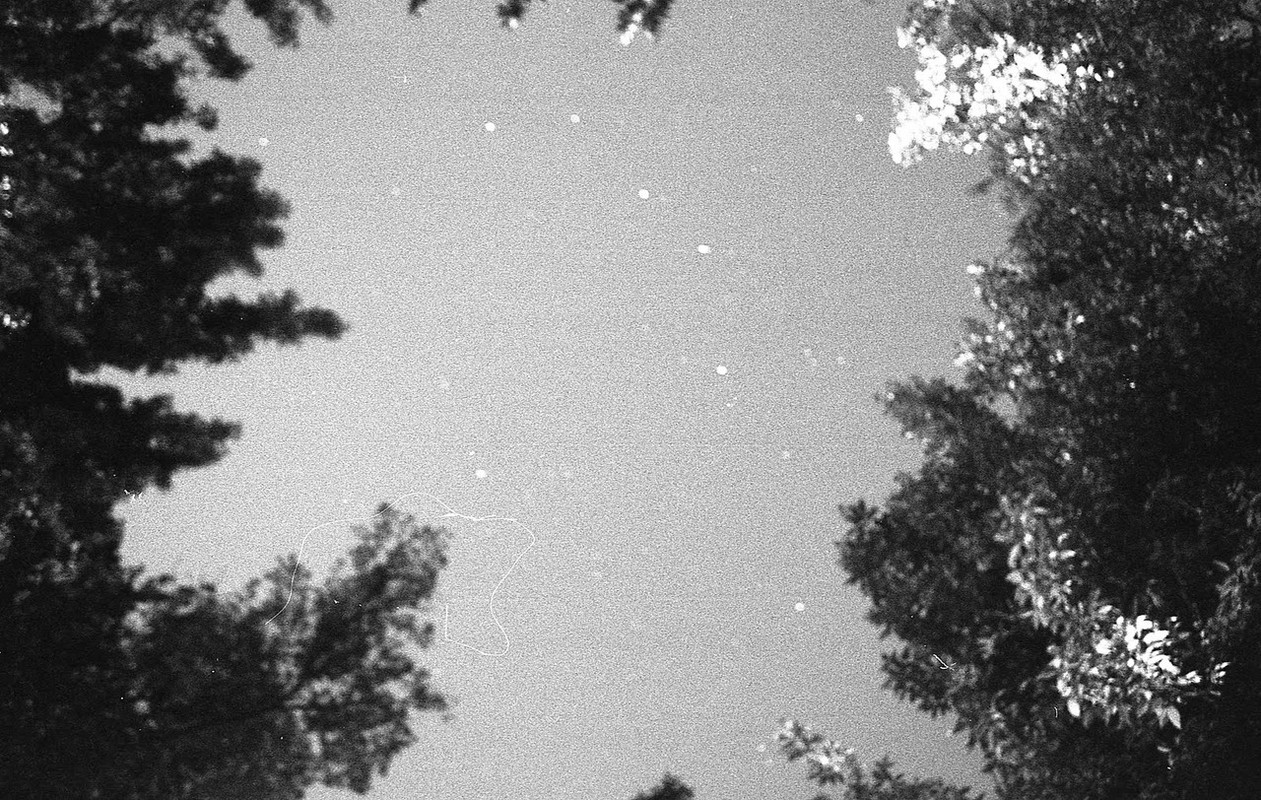 Constellation of the Cat