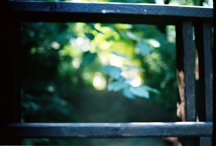 Un vârtej de nebunii 