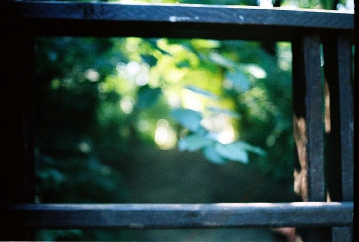 Un vârtej de nebunii 