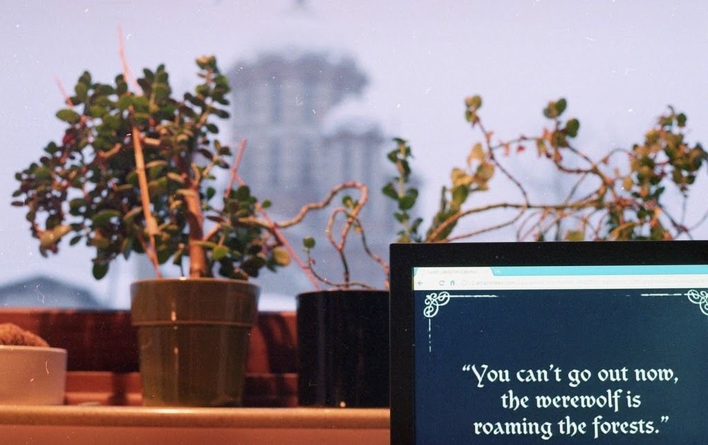 Best you stay here for the night