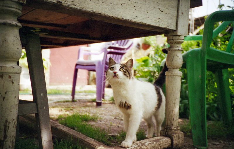 Hai there!