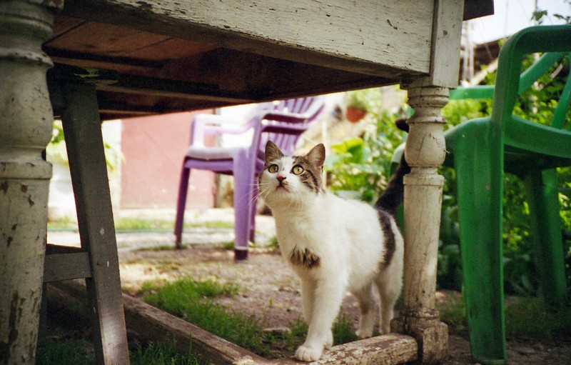 Hai there!